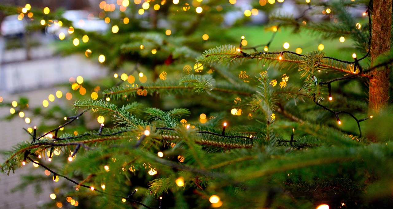 Weihnachtsbeleuchtung im Baum. Foto: Symbolbild