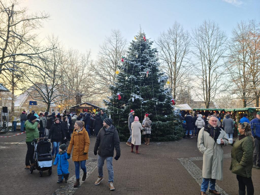 Die meterhohe Weihnachtstanne auf dem Rathausplatz in Stelle. Foto: Hamann
