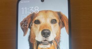 Wem gehört dieses Handy mit einem Internetbild von einem Hund? Foto: Polizei